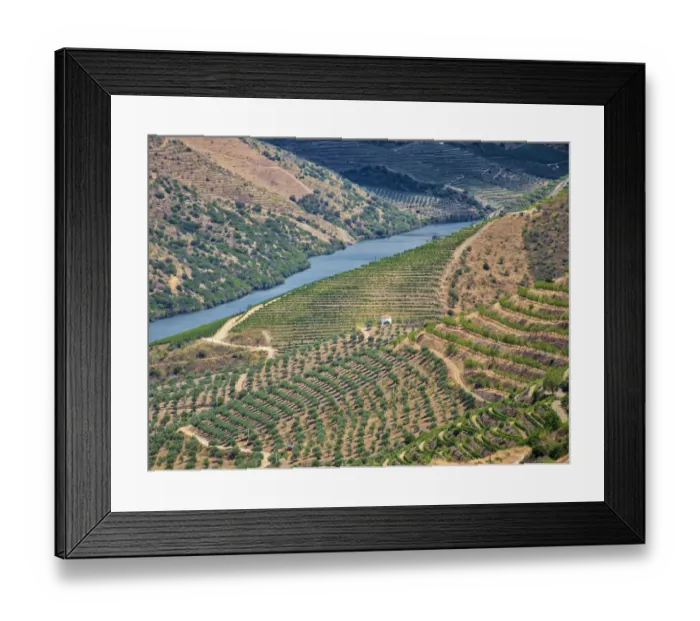 Framed Print : Portugal, Douro Valley. View of Douro River and vineyards Framed Print : Portugal, Douro Valley. View of Douro River and vineyards