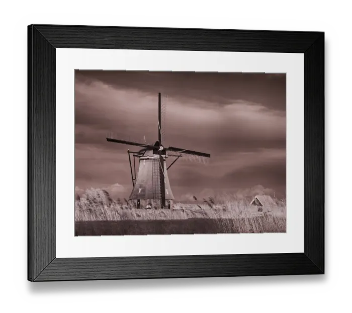 Framed Print : Netherlands, Kinderdijk. Windmills at sunset in Kinderdijk Framed Print : Netherlands, Kinderdijk. Windmills at sunset in Kinderdijk