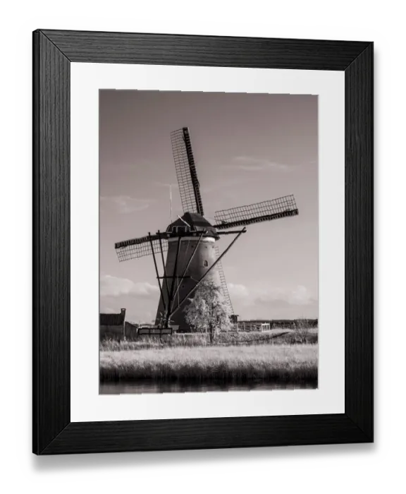 Framed Print : Netherlands, Kinderdijk. Windmills at sunset in Kinderdijk Framed Print : Netherlands, Kinderdijk. Windmills at sunset in Kinderdijk