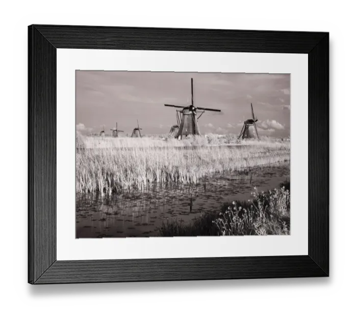 Framed Print : Netherlands, Kinderdijk. Windmills at sunset in Kinderdijk Framed Print : Netherlands, Kinderdijk. Windmills at sunset in Kinderdijk