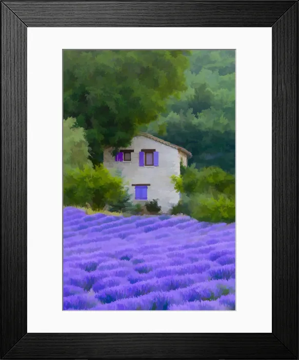 Framed Print : Europe, France, Provence. Abstract of farm house and lavender field Framed Print : Europe, France, Provence. Abstract of farm house and lavender field