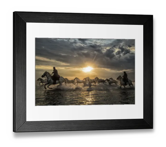 Framed Print : Europe, France, Provence, Camargue. Horses running through water at sunrise