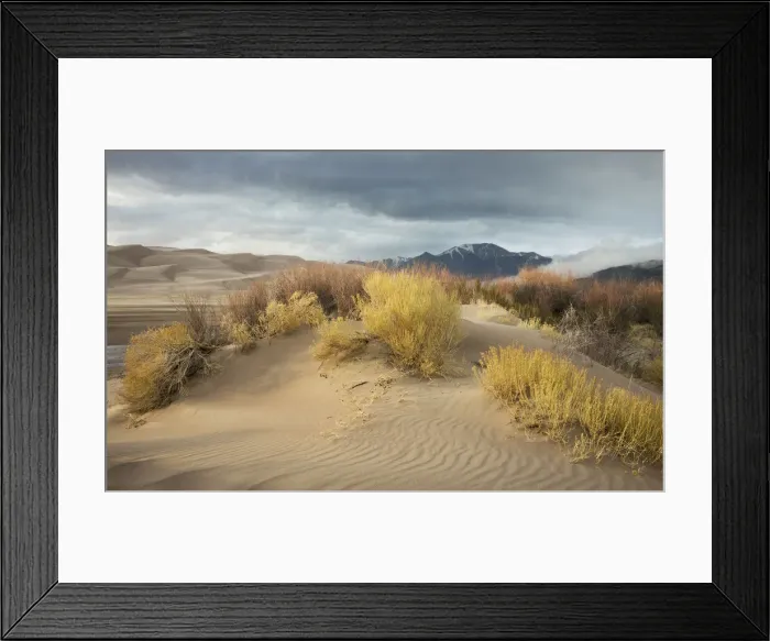 Framed Print : Great Sand Dunes, Colorado Framed Print : Great Sand Dunes, Colorado