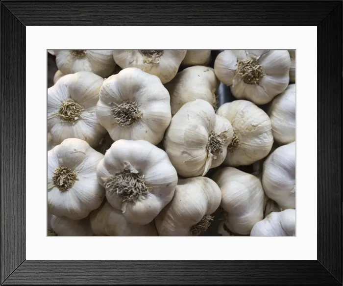 Framed Print : Italy, Florence. Garlic bulbs in the Central Market, Mercato Centrale in Florence Framed Print : Italy, Florence. Garlic bulbs in the Central Market, Mercato Centrale in Florence
