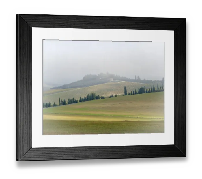 Framed Print : Italy, Tuscany. Small farmhouse and vineyard on a foggy morning Framed Print : Italy, Tuscany. Small farmhouse and vineyard on a foggy morning