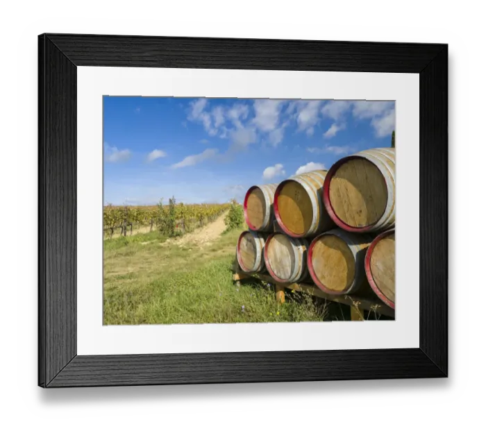 Framed Print : Italy, Tuscany. Wine barrels in a vineyard in Tuscany Framed Print : Italy, Tuscany. Wine barrels in a vineyard in Tuscany