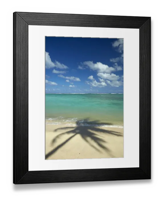 Framed Print : Coconut palm shadow on beach and Pacific Ocean, Rarotonga, Cook Islands, South Pacific Framed Print : Coconut palm shadow on beach and Pacific Ocean, Rarotonga, Cook Islands, South Pacific