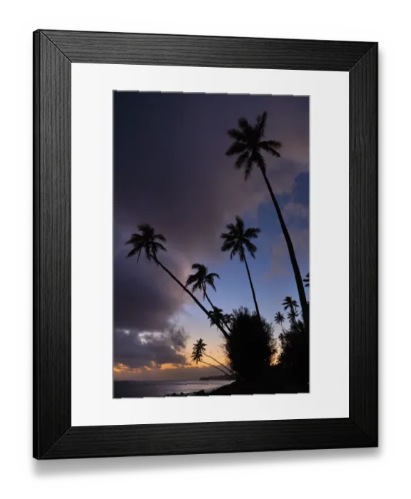 Framed Print : Sunset over coconut palm trees and Pacific Ocean, Rarotonga, Cook Islands, South Pacific Framed Print : Sunset over coconut palm trees and Pacific Ocean, Rarotonga, Cook Islands, South Pacific