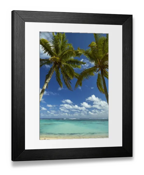 Framed Print : Coconut palm trees and beach, Takitimu District, Rarotonga, Cook Islands, South Pacific Framed Print : Coconut palm trees and beach, Takitimu District, Rarotonga, Cook Islands, South Pacific