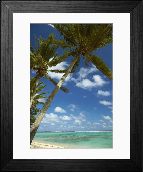 Framed Print : Coconut palm trees and beach, Takitimu District, Rarotonga, Cook Islands, South Pacific Framed Print : Coconut palm trees and beach, Takitimu District, Rarotonga, Cook Islands, South Pacific