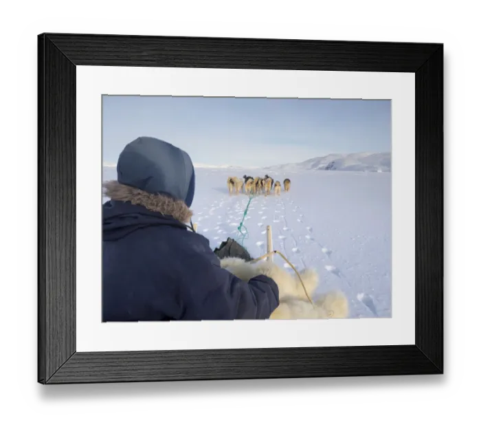 Framed Print : Inuit hunter on dog sled, wearing traditional trousers and boots made from polar bear fur Framed Print : Inuit hunter on dog sled, wearing traditional trousers and boots made from polar bear fur