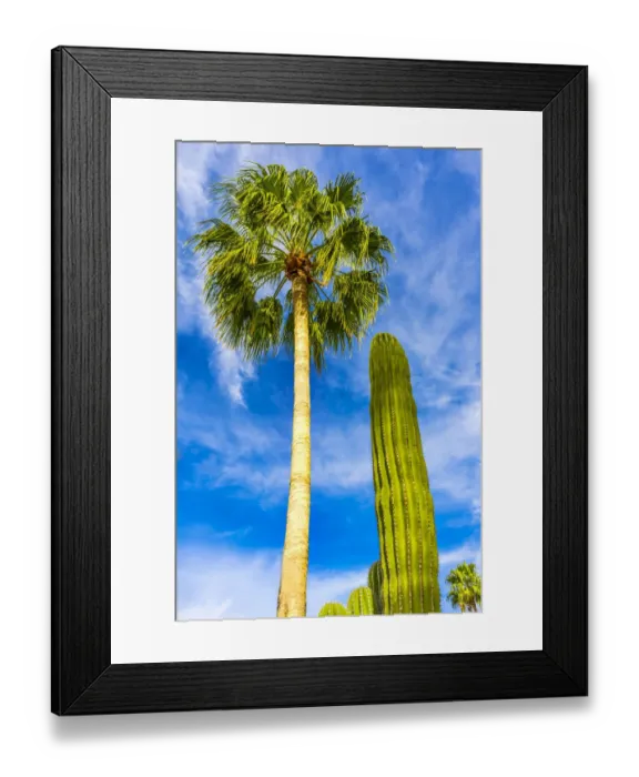Framed Print : Green cardon cactus, Sonoran Desert shrubland in Cabo San Lucas, Mexico