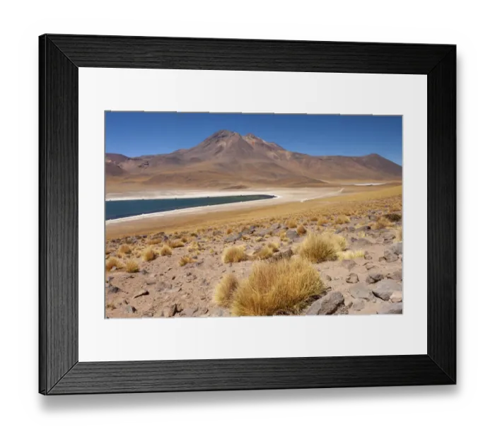 Framed Print : Chile, Antofagasta Region, Miniques, Lake Miscanti. Lake Miscanti is a brackish lake