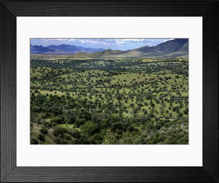 Framed Print : USA, Arizona, Cochise County. Mountains and trees in rolling landscape Framed Print : USA, Arizona, Cochise County. Mountains and trees in rolling landscape