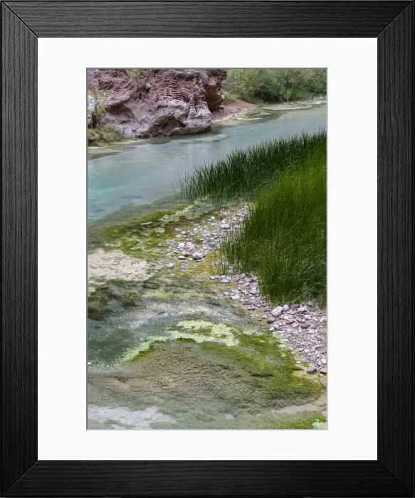 Framed Print : USA, Arizona. Reeds growing along Havasu Creek, Havasu Creek Canyon Framed Print : USA, Arizona. Reeds growing along Havasu Creek, Havasu Creek Canyon