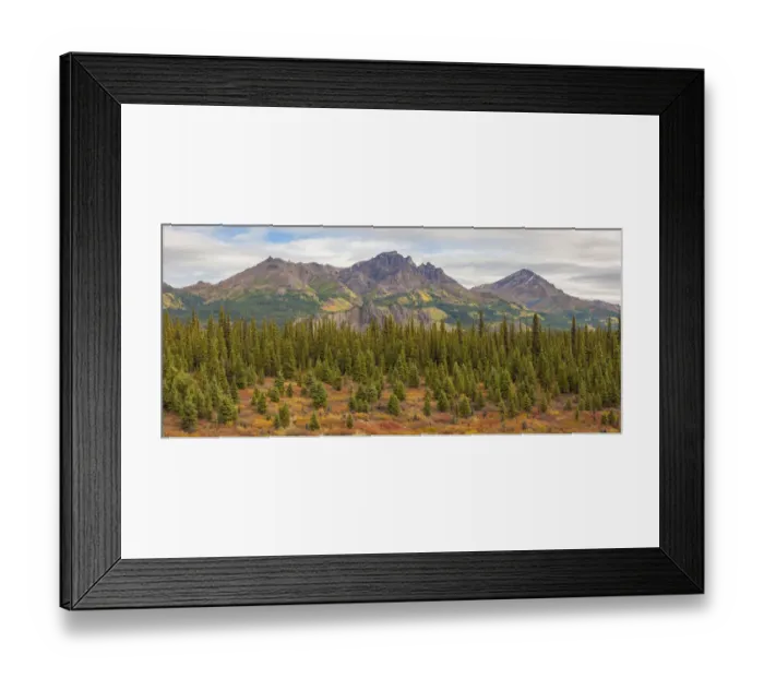 Framed Print : USA, Alaska. Fall colors near Denali National Park Framed Print : USA, Alaska. Fall colors near Denali National Park