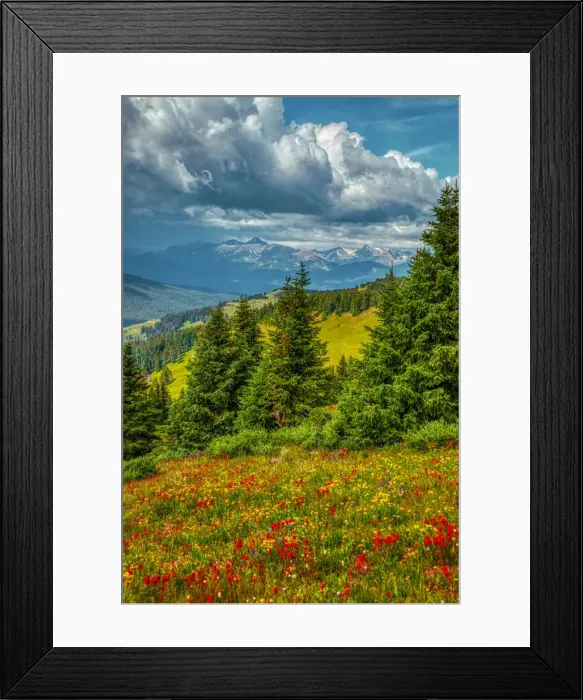Framed Print : USA, Colorado, Vail. Meadow and mountain landscape
