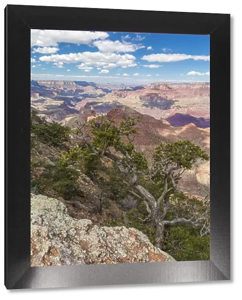 USA, Arizona. View from Navajo Point on the south rim of Grand Canyon National Park