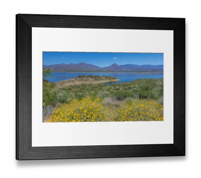 Framed Print : USA, Arizona. Flowers on scenic Theodore Roosevelt Lake on the Salt River Framed Print : USA, Arizona. Flowers on scenic Theodore Roosevelt Lake on the Salt River