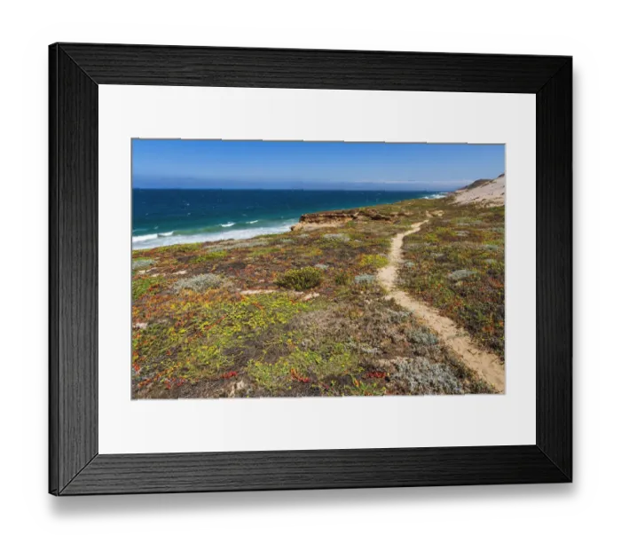 Framed Print : Skunk Point trail, Santa Rosa Island, Channel Islands National Park, California, USA