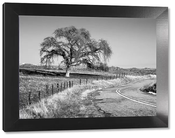 USA, California, Madera County, Rural road through ranch country
