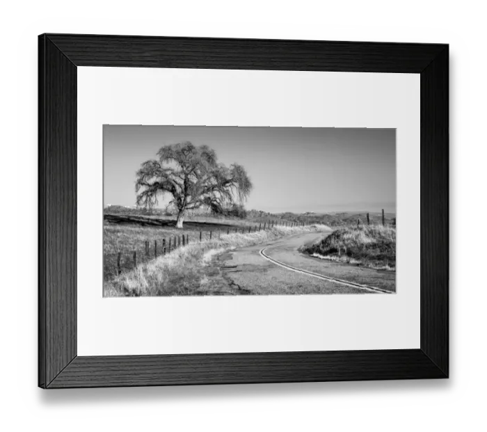Framed Print : USA, California, Madera County, Rural road through ranch country Framed Print : USA, California, Madera County, Rural road through ranch country
