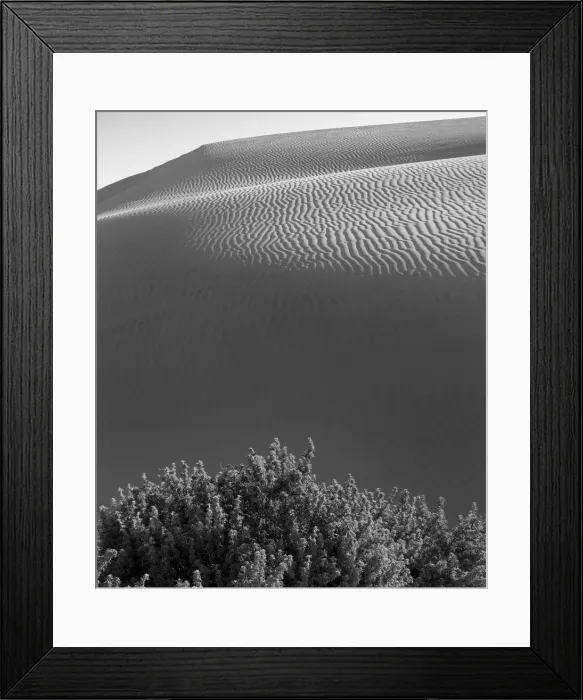 Framed Print : The sand dunes of Pismo Beach, California, black and white Framed Print : The sand dunes of Pismo Beach, California, black and white