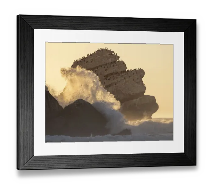 Framed Print : Pillar rock, a small rock formation next to Morro Rock (seen at left) in Morro Bay Framed Print : Pillar rock, a small rock formation next to Morro Rock (seen at left) in Morro Bay
