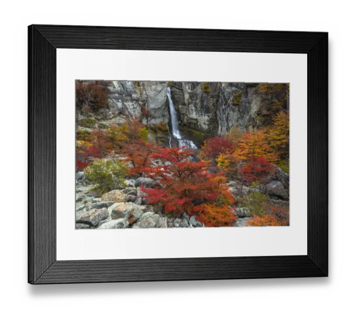 Framed Print : Argentina, Patagonia, El Chalten. Waterfall and autumn colors on southern beech trees