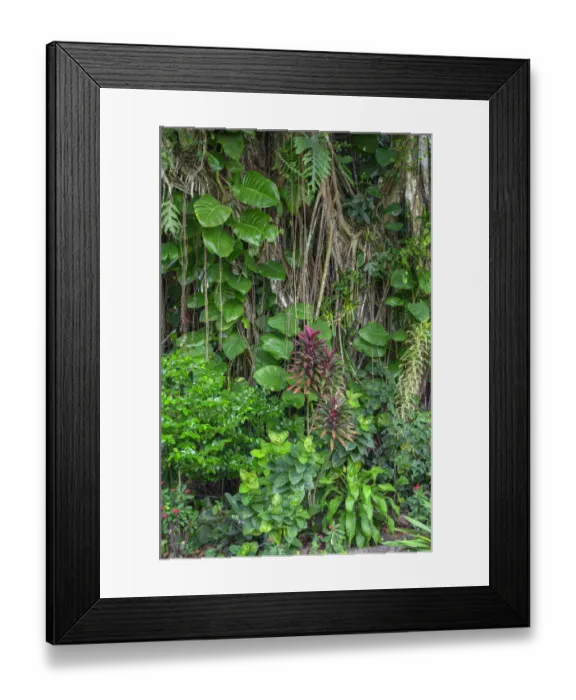 Framed Print : USA, Hawaii, Big Island of Hawaii. Hilo, Liliuokalani Gardens Framed Print : USA, Hawaii, Big Island of Hawaii. Hilo, Liliuokalani Gardens