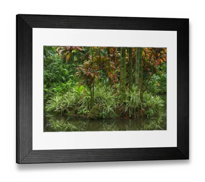 Framed Print : USA, Hawaii, Big Island of Hawaii. Hawaii Tropical Botanical Gardens Framed Print : USA, Hawaii, Big Island of Hawaii. Hawaii Tropical Botanical Gardens
