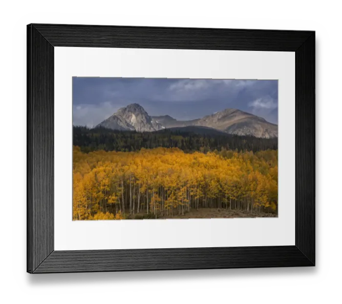 Framed Print : USA, Colorado, Gore Range. Sunrise on mountain and aspen trees Framed Print : USA, Colorado, Gore Range. Sunrise on mountain and aspen trees