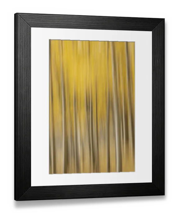 Framed Print : USA, Colorado, Autumn Framed Print : USA, Colorado, Autumn