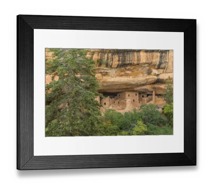 Framed Print : USA, Colorado, Mesa Verde National Park. Spruce Tree House Ruins Framed Print : USA, Colorado, Mesa Verde National Park. Spruce Tree House Ruins