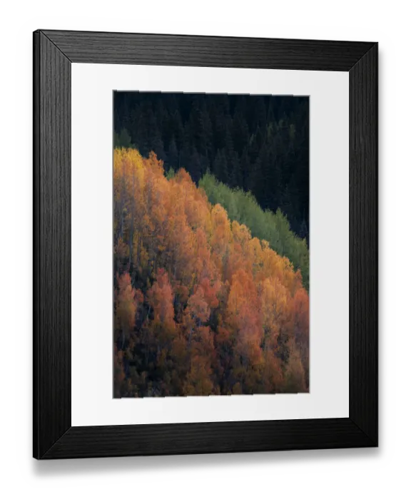 Framed Print : USA, Colorado, San Juan Mountains. Autumn-colored aspen trees on mountain slope