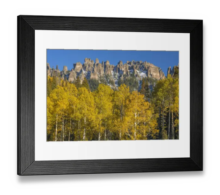 Framed Print : USA, Colorado, Uncompahgre National Forest, Turret Ridge above autumn colored aspen Framed Print : USA, Colorado, Uncompahgre National Forest, Turret Ridge above autumn colored aspen