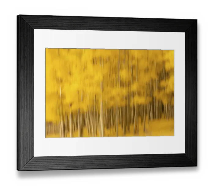 Framed Print : USA, Colorado, Autumn Framed Print : USA, Colorado, Autumn
