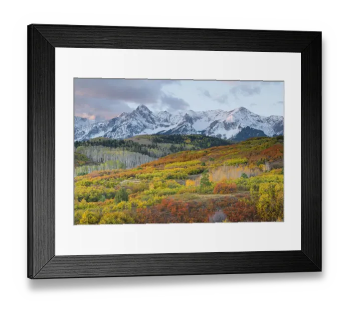Framed Print : USA, Colorado, San Juan Mountains, Uncompahgre National Forest Framed Print : USA, Colorado, San Juan Mountains, Uncompahgre National Forest