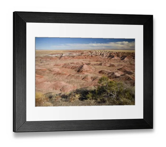 Framed Print : USA, Arizona. View of the badlands and petrified logs of Petrified Forest National Park Framed Print : USA, Arizona. View of the badlands and petrified logs of Petrified Forest National Park
