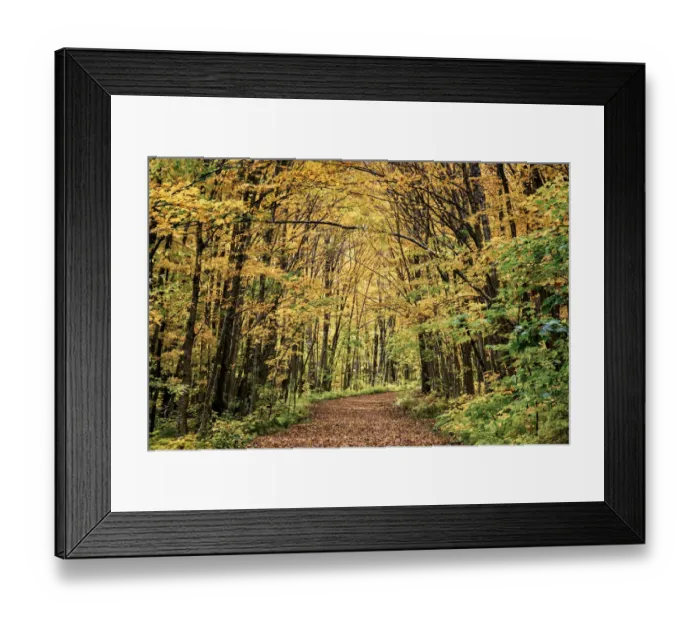 Framed Print : USA, Michigan, Upper Peninsula, Porcupine Mountains Wilderness State Park Framed Print : USA, Michigan, Upper Peninsula, Porcupine Mountains Wilderness State Park