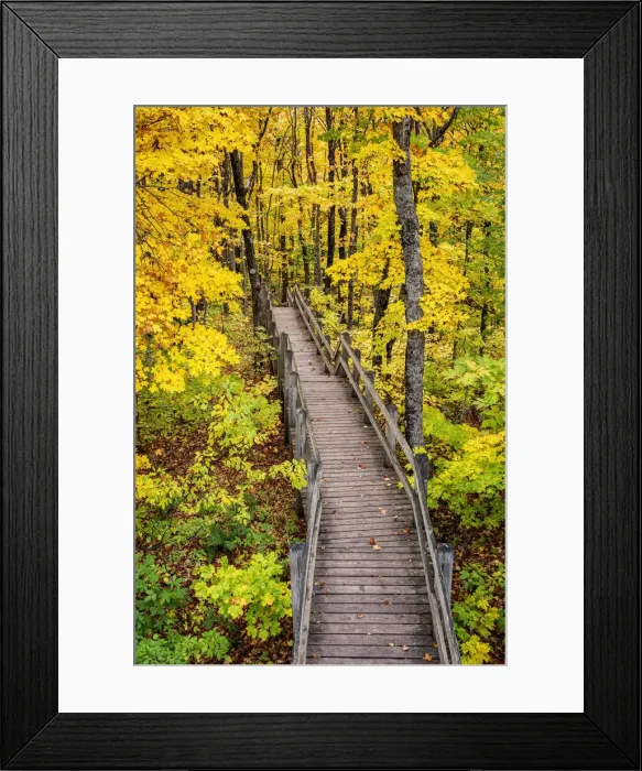 Framed Print : USA, Michigan, Porcupine Mountains Wilderness State Park, Boardwalk to Summit Peak