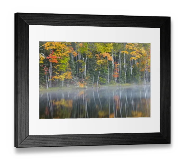 Framed Print : Fall meets winter, snow on autumn colors, Council Lake, Hiawatha National Forest Framed Print : Fall meets winter, snow on autumn colors, Council Lake, Hiawatha National Forest