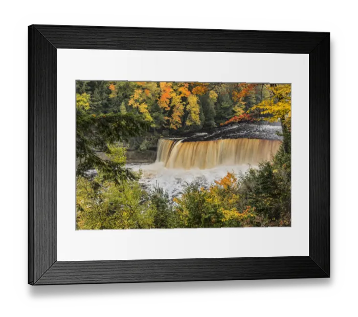 Framed Print : Tahquamenon Falls and fall colors, Upper Peninsula of Michigan Framed Print : Tahquamenon Falls and fall colors, Upper Peninsula of Michigan