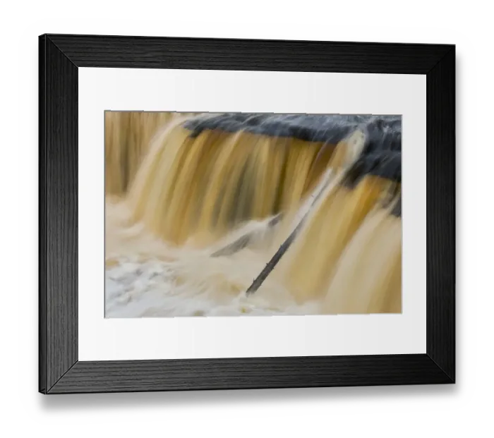 Framed Print : Trees stuck in Tahquamenon Falls, Upper Peninsula of Michigan