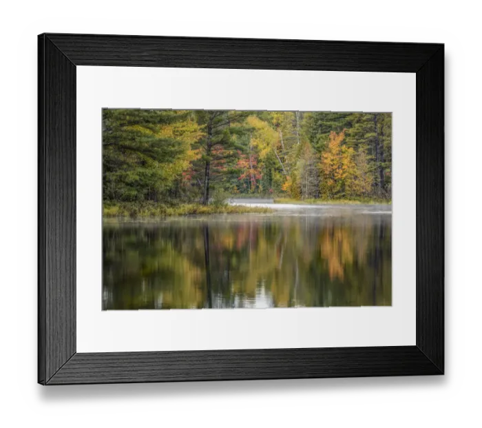 Framed Print : Fall colors along shoreline of Council Lake, Hiawatha National Forest Framed Print : Fall colors along shoreline of Council Lake, Hiawatha National Forest
