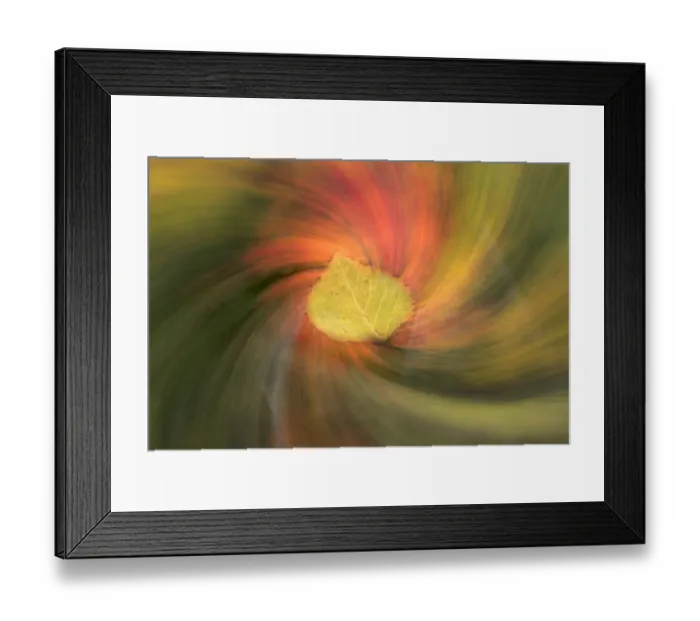 Framed Print : Leaf and swirling abstract fall colors along shoreline of Council Lake Framed Print : Leaf and swirling abstract fall colors along shoreline of Council Lake
