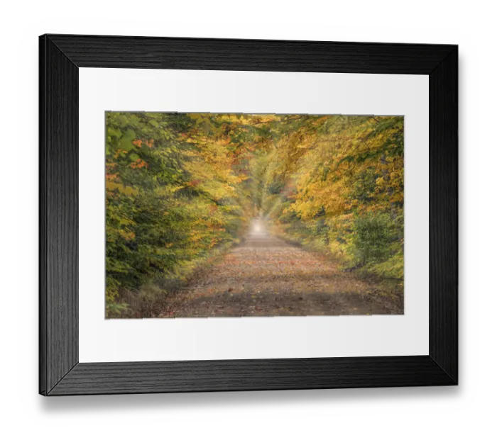 Framed Print : Light rays at end of road through Hiawatha National Forest, Upper Peninsula of Michigan Framed Print : Light rays at end of road through Hiawatha National Forest, Upper Peninsula of Michigan
