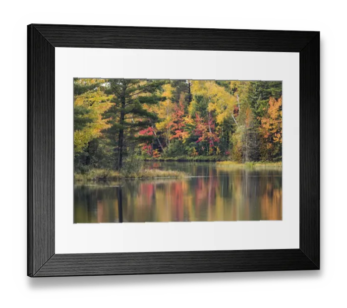 Framed Print : Fish Lake and fall colors along shoreline, Hiawatha National Forest Framed Print : Fish Lake and fall colors along shoreline, Hiawatha National Forest