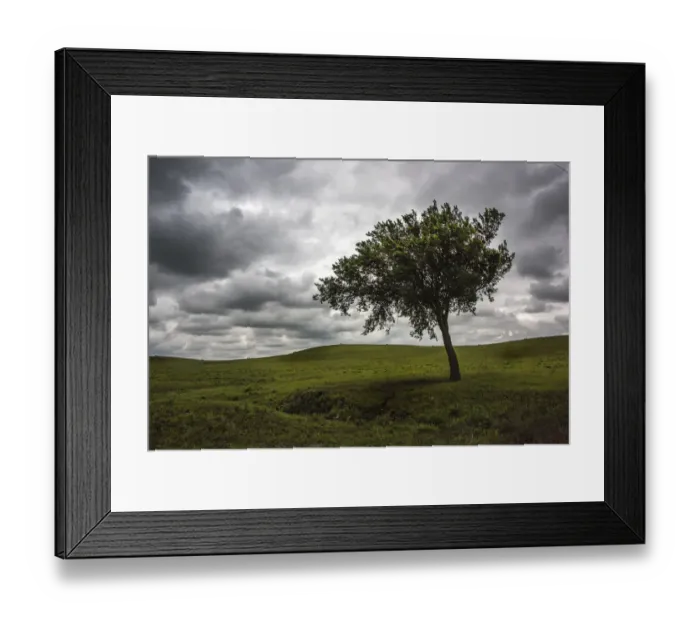 Framed Print : A single tree seen in the rolling Flint Hills of Kansas Framed Print : A single tree seen in the rolling Flint Hills of Kansas