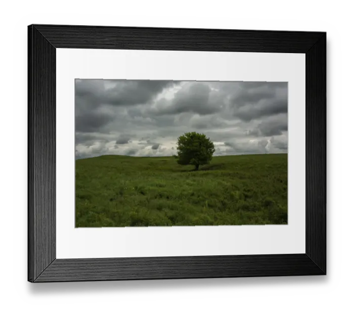 Framed Print : Single tree and impending storm over the roaming hills of the Flint Hills of Kansas Framed Print : Single tree and impending storm over the roaming hills of the Flint Hills of Kansas